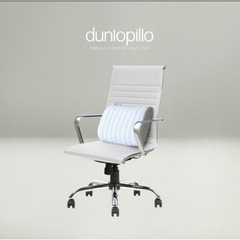 Dunlopillo Lumbar Car Office Back Cushion Memory Foam