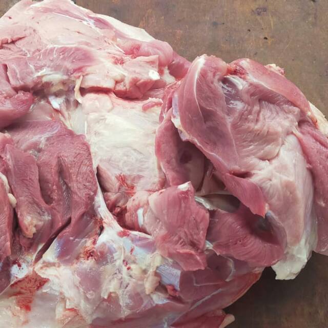 

Jagal B2 Fresh Meat Pig