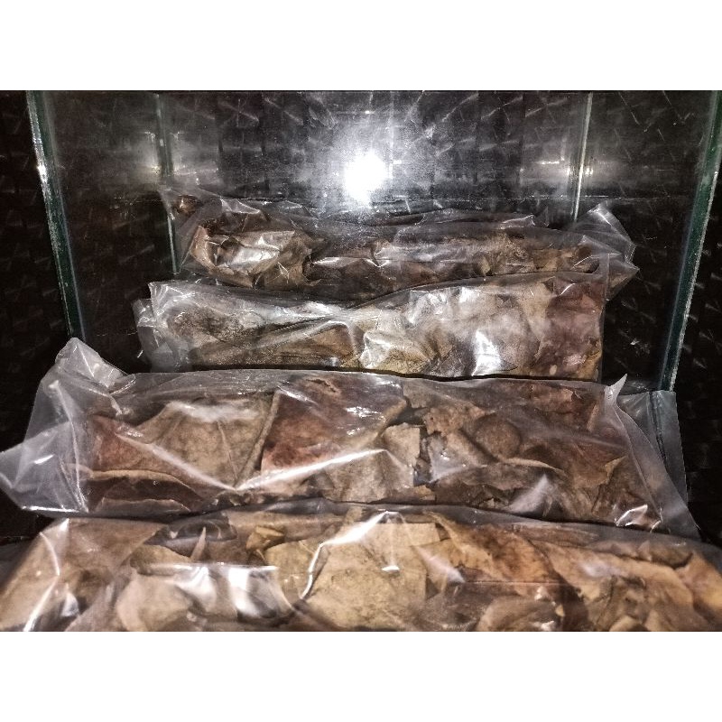 daun Ketapang olahan bagus buat warna ikan cupang