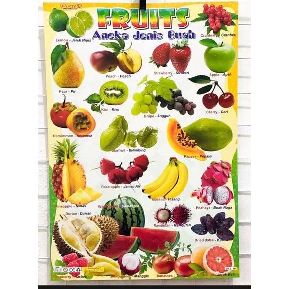 

Aneka jenis buah-buaha