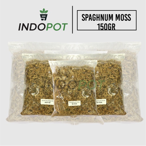 Spaghnum Moss 150 gr Media Anggrek | Spaghnum moss putih | Moss Putih