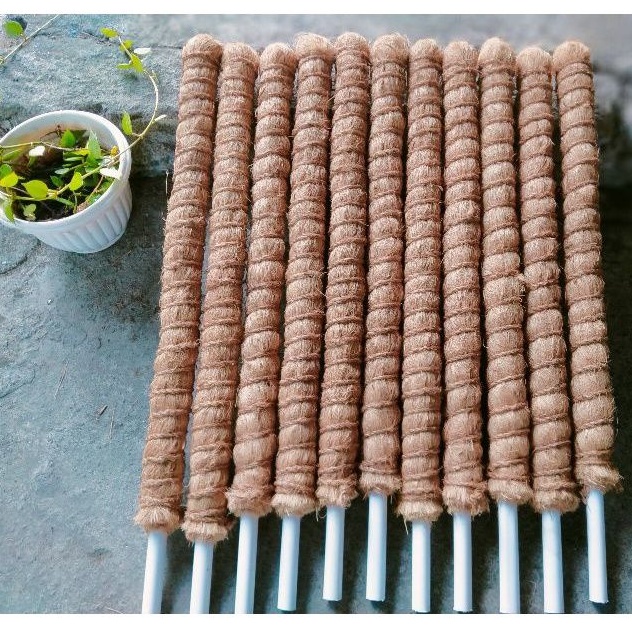 Tongkat Turus Rambatan Tanaman tajar stik Rambat