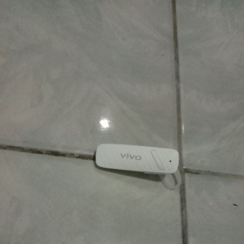 Henset belutut vivo