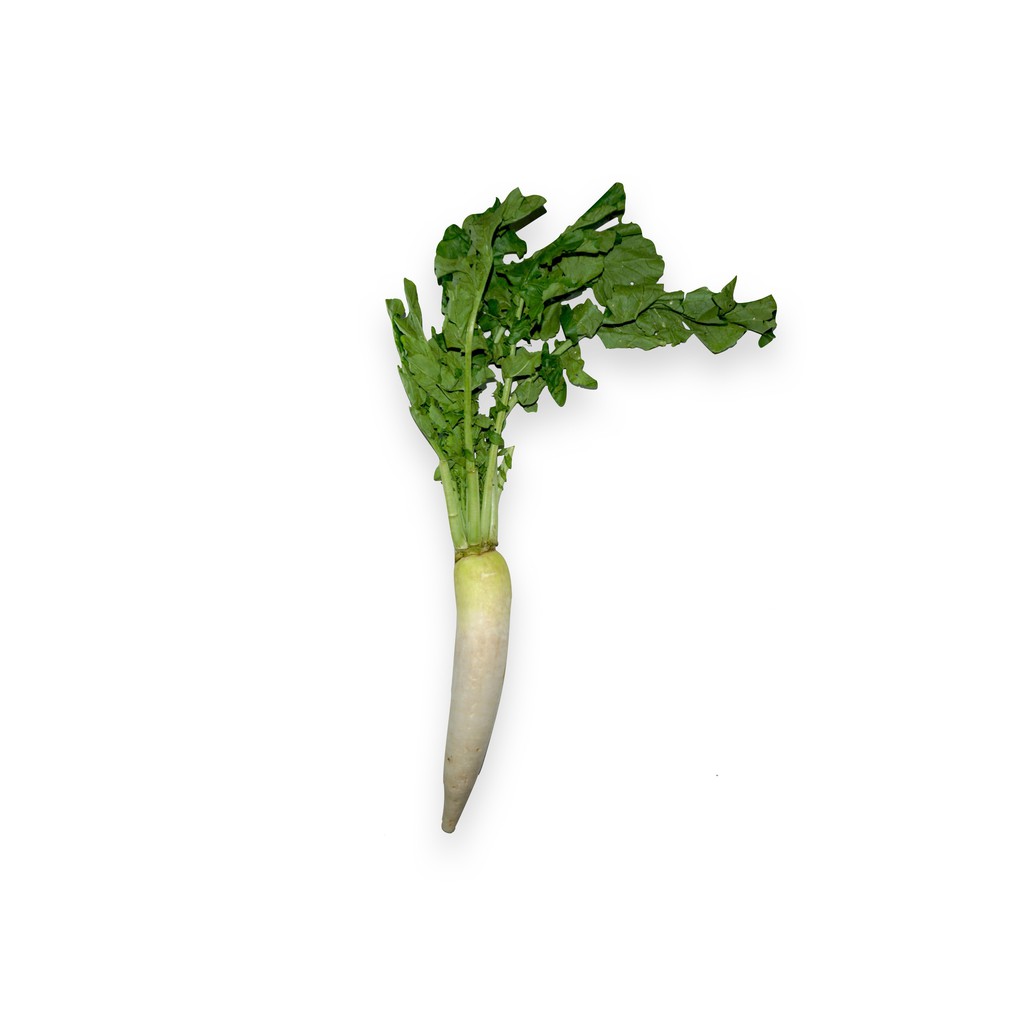 

SAYUR ORGANIK Lobak