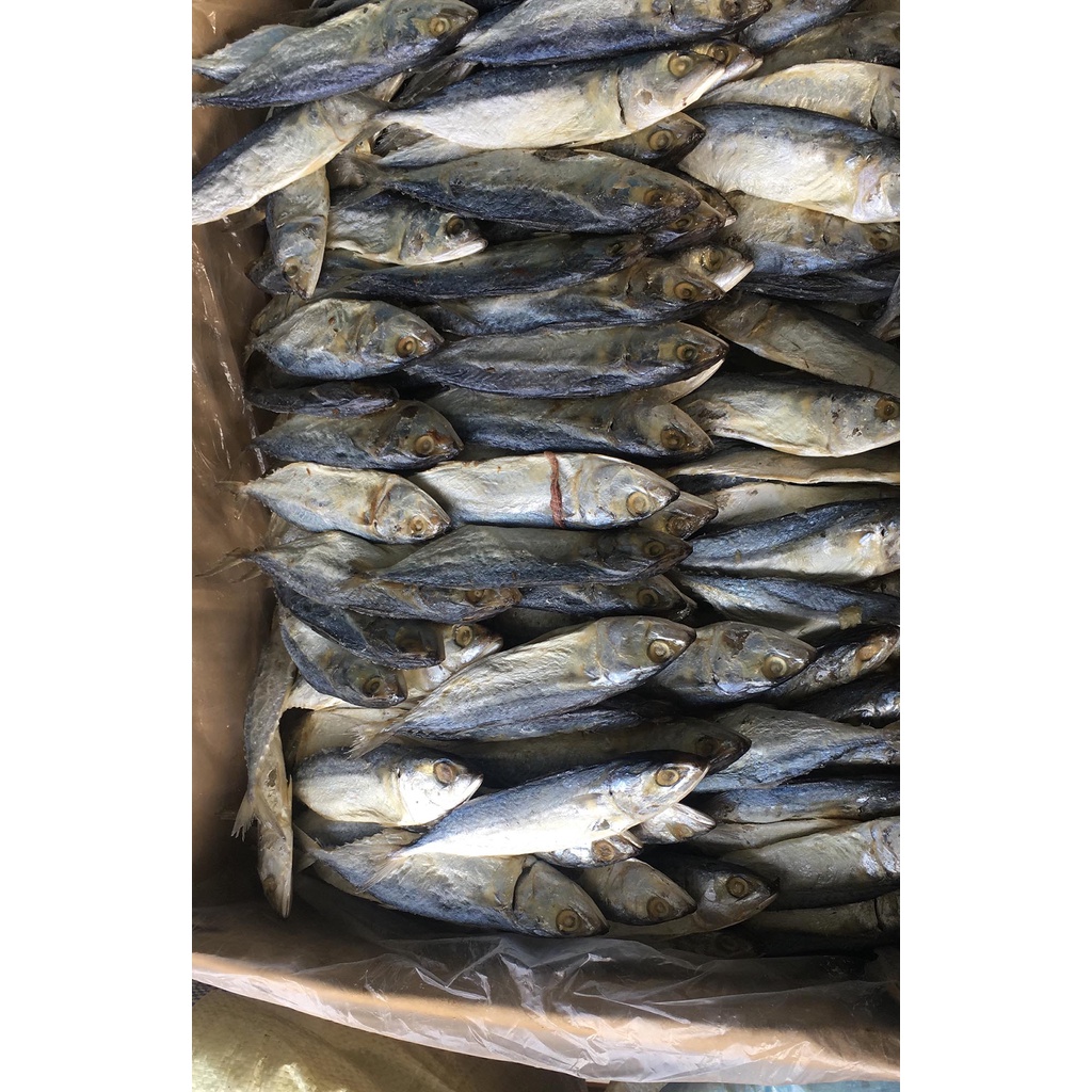 

Anak Ikan Pisang