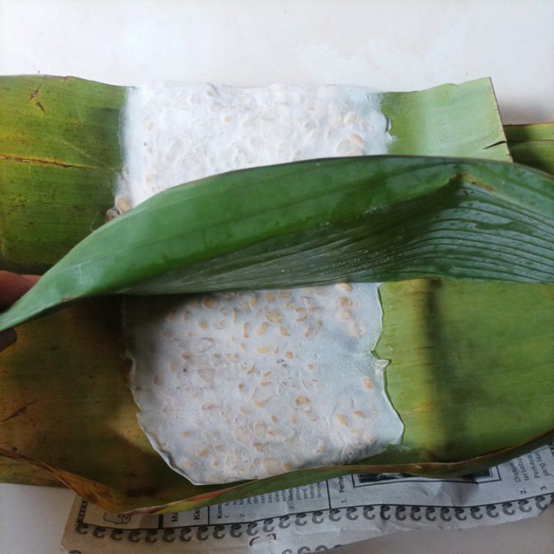 

TEMPE MENDOAN KEBUMEN bungkus daun pisang