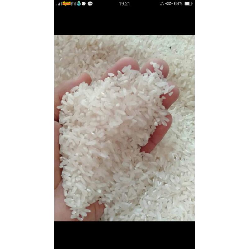 

BERAS ASLI DARI PENGGILINGAN/ROJO LELE BERAS ASLI ,BISA PARTAI BESAR