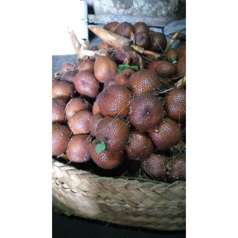 

Salak Bali Sibetan Karangasem