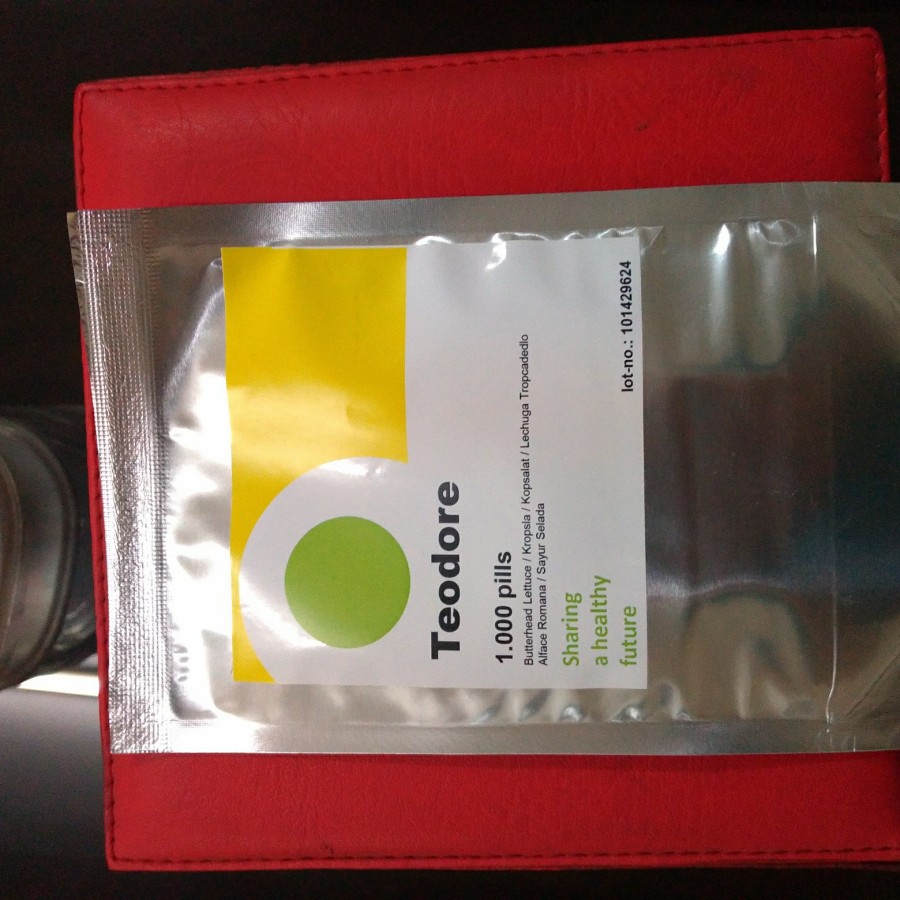 1000 seed - Benih Teodore RZ Red Butter Lettuce Teodore RZ