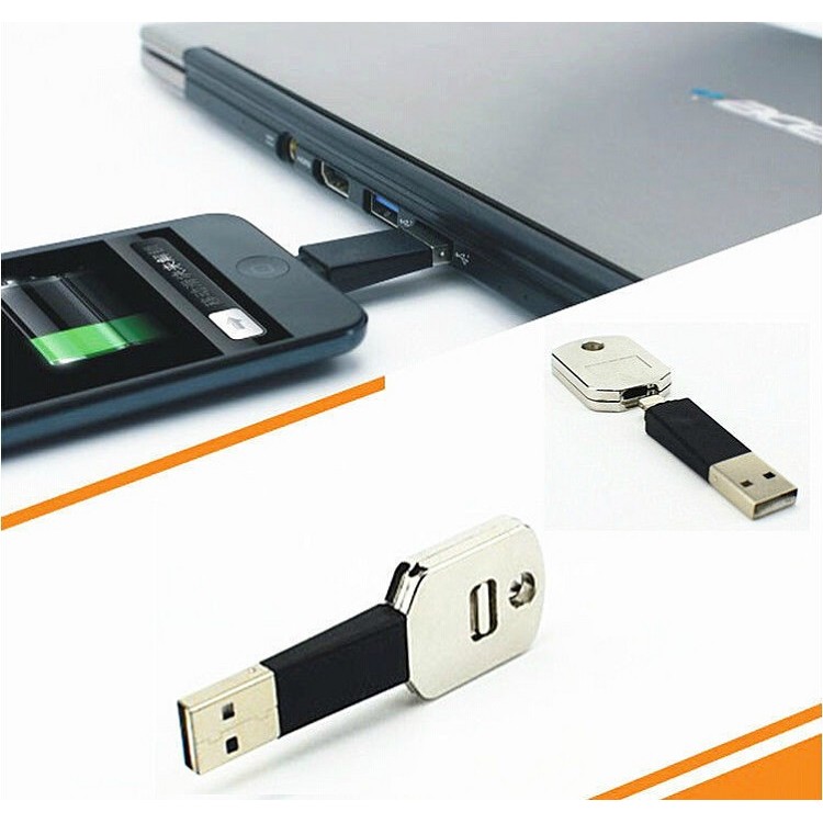 Keychain Lighting Cable for Charge &amp; Synch Data