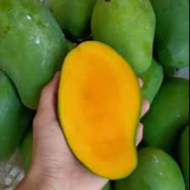 

MANGGA HARUM MANIS