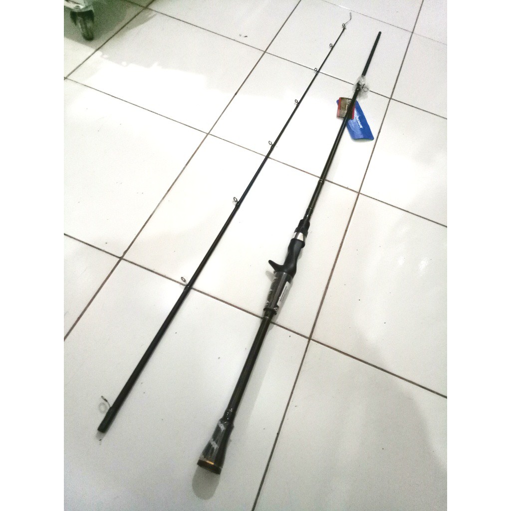 pioneer emotion power graphite rod