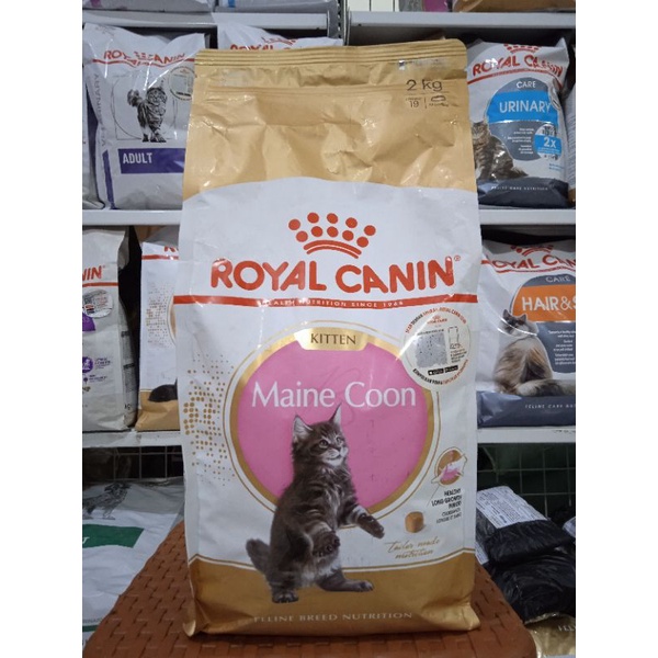 Royal Canin Mainecoon Kitten Frespack 2kg - Makanan Kucing Royal Canin