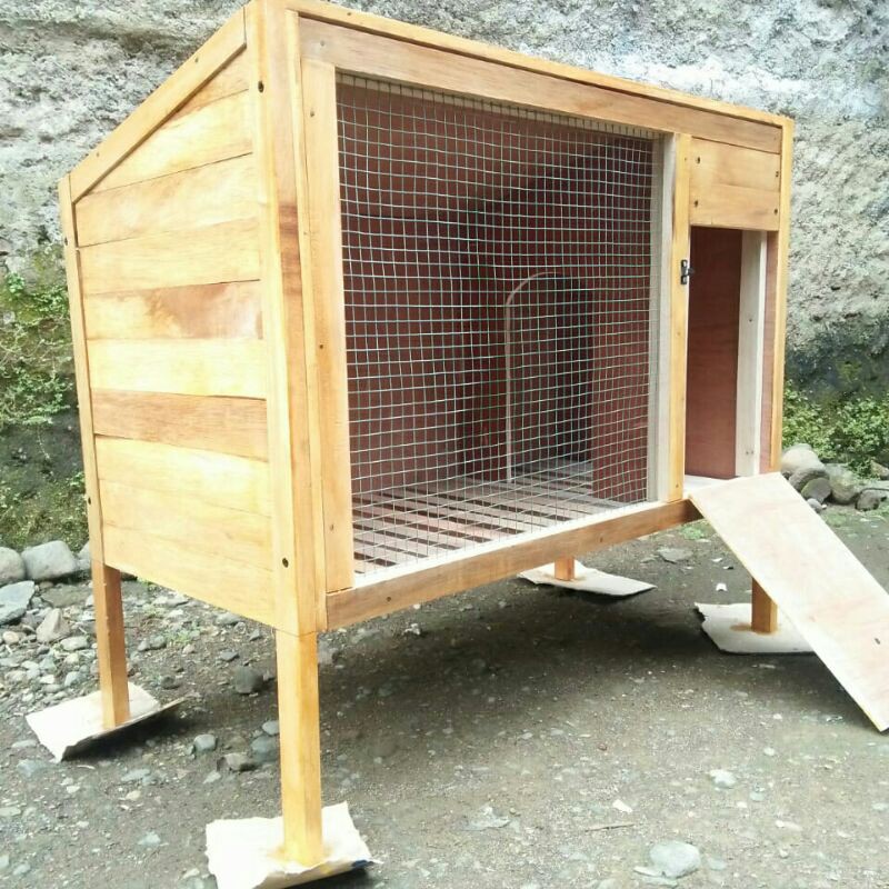 kandang Kelinci kayu minimalis