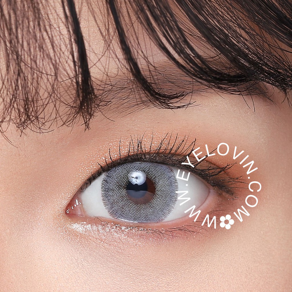 Softlens Dreamcolor I - Nobluk Grey