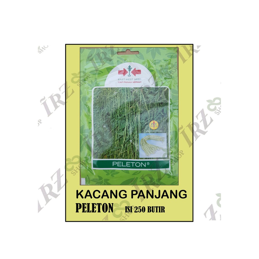 Benih Kacang Panjang Peleton Limited