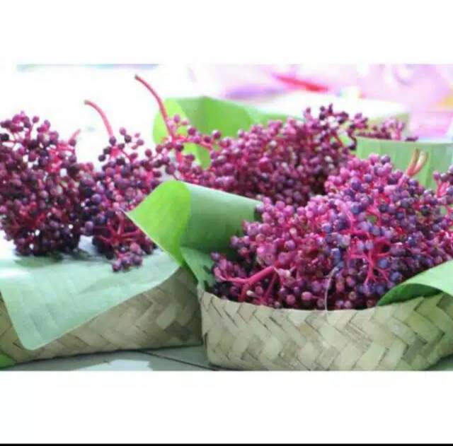 

Buah parijoto muria fresh 500gram untuk PROMIL & JANIN cakep