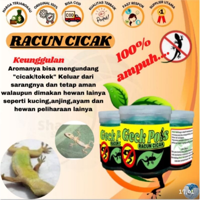 Racun Cicak Ampuh - Racak Herbal - Racun Cicak Herbal Original Aman - Obat Pembasmi Cicak