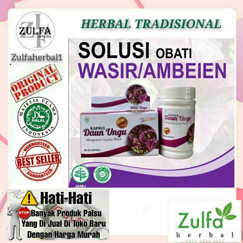 Kapsul daun ungu - obat wasir ambeien