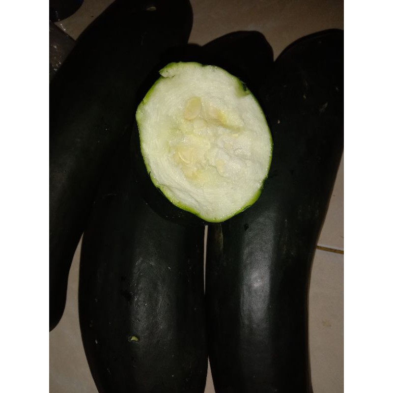 

timun jepang super hemat