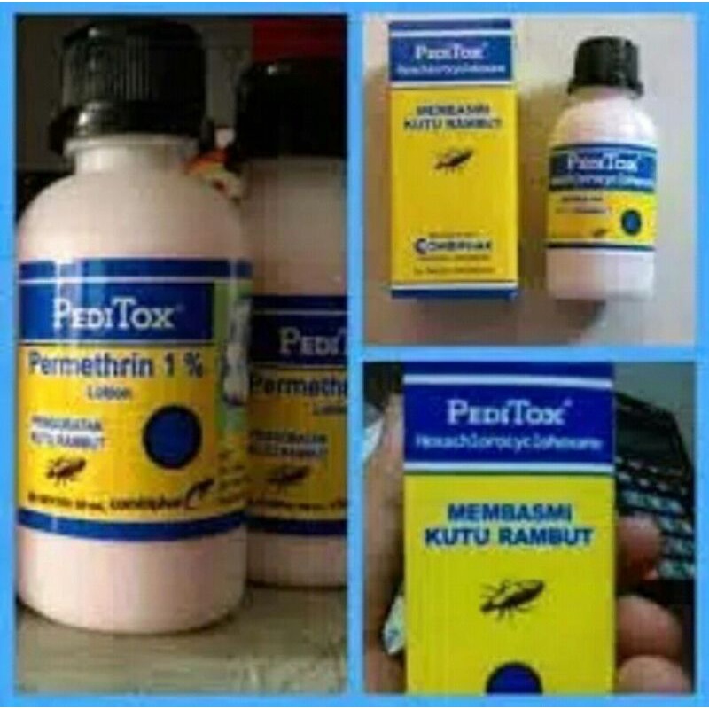 PediTox Lotion (Obat Pembunuh Kutu Rambut)