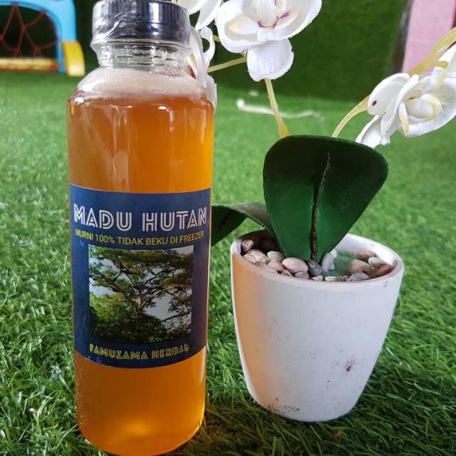

MADU HUTAN MURNI 100% TIDAK BEKU DI FREEZER