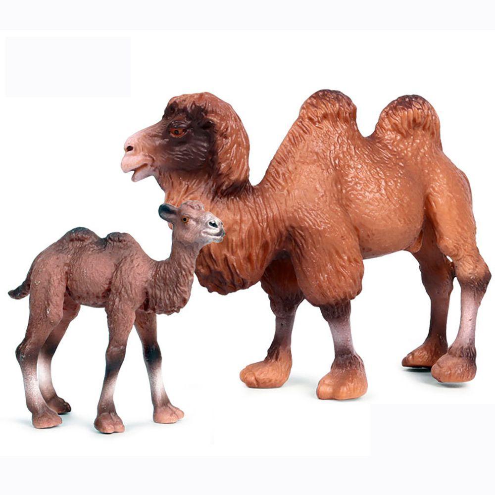 Top Mainan Edukasi Sains &amp; Alam Lanskap Mikro Model Camel Simulasi Hewan