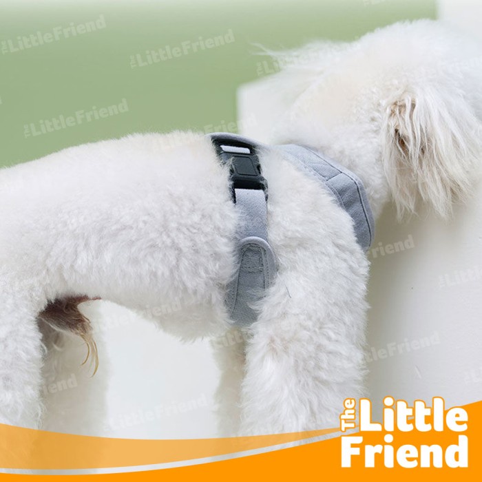 Dog Leash Harness Vest Tali Tuntun Chest Strap Anjing Poodle Bichon