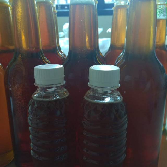 

Madu ternak hutan asli