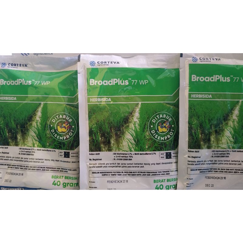 Herbisida Ally Plus Broadplus 77 WP pembasmi Rumput padi