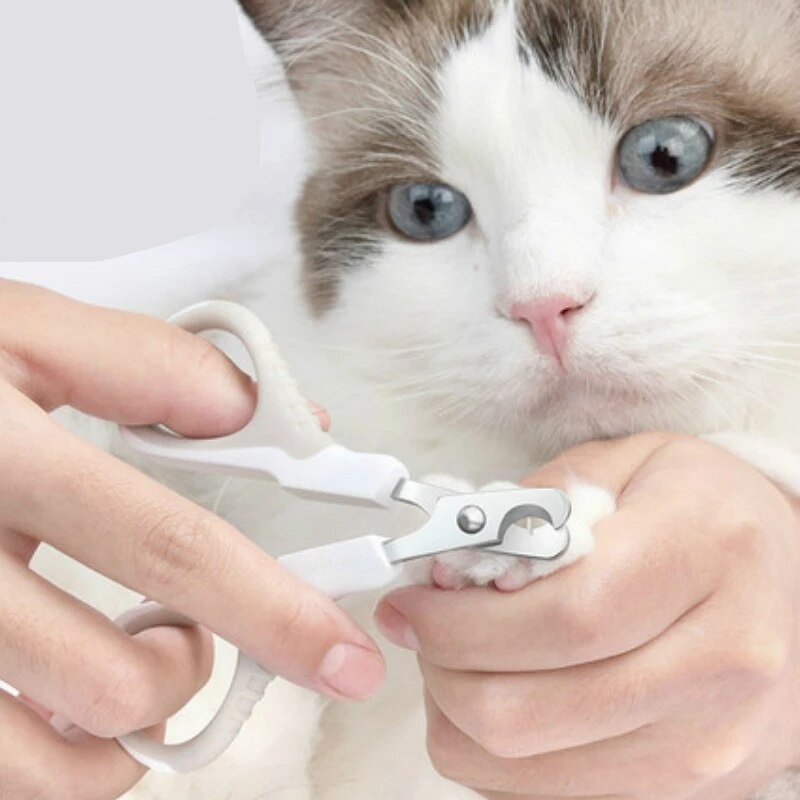 Gunting Kuku Kucing Tanpa Sakit Nail Clipper Pet Alat Pemotong Kuku Anjing Hewan Peliharaan