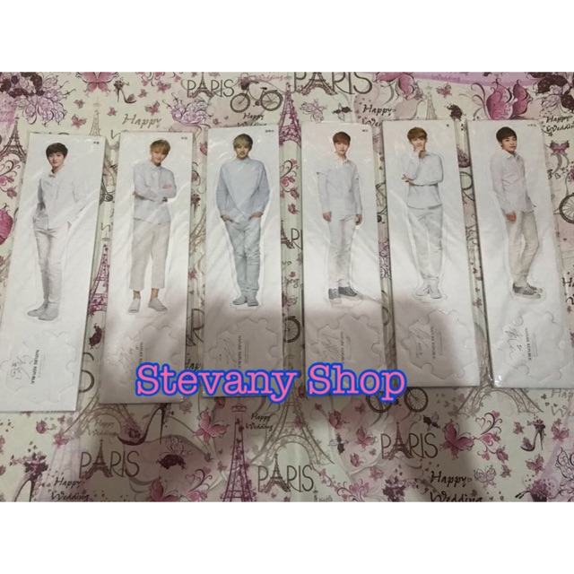 EXO Nature Republic - Standee