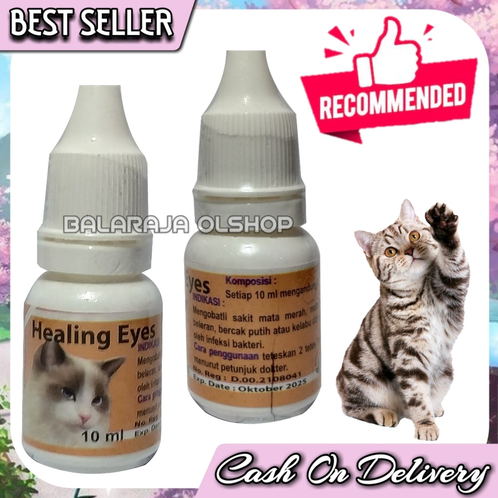 OBAT MATA KUCING SAKIT BENGKAK MERAH BELEK BERCAK PUTIH HEALING EYES CAT