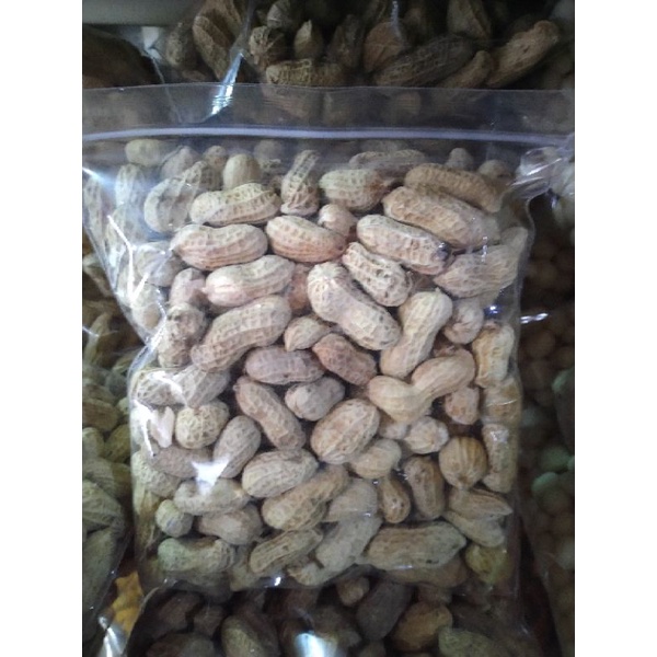 

KACANG KULIT (ASIN,MAGAL)