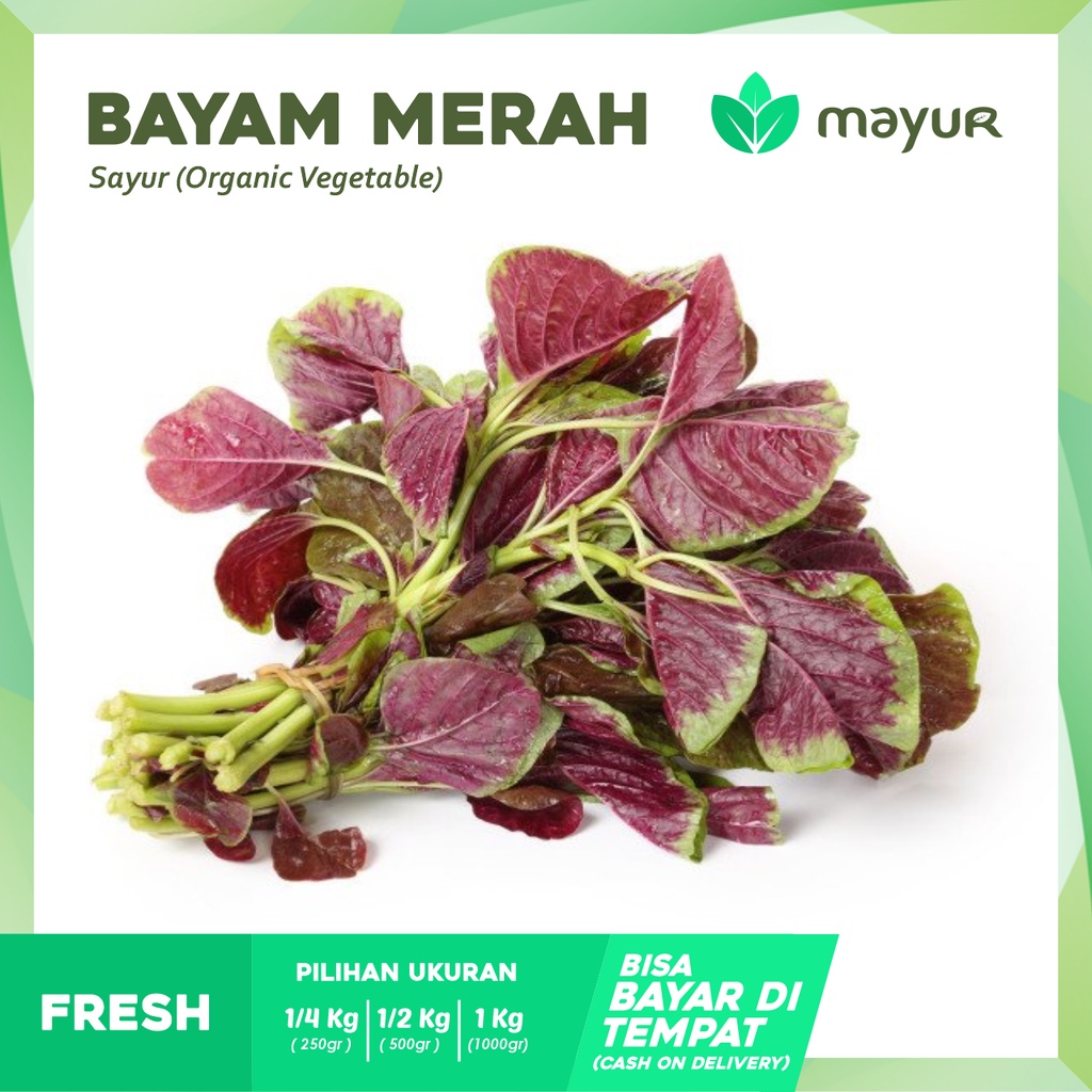 

Bayam Merah Segar ( 250gr | 500gr | 1kg )