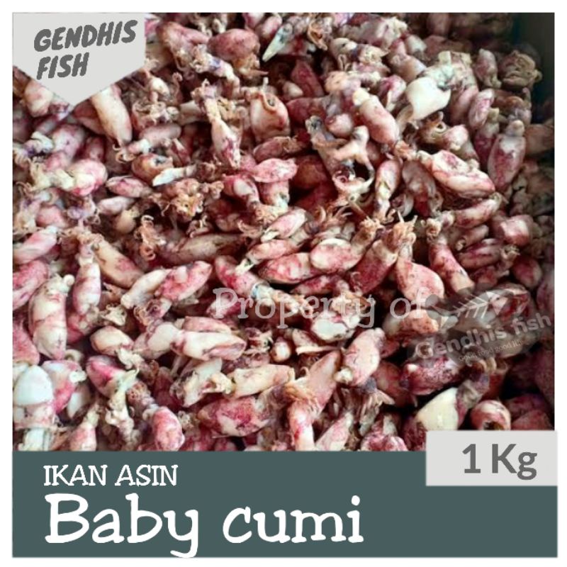 

Ikan asin baby cumi kemasan 1 kg