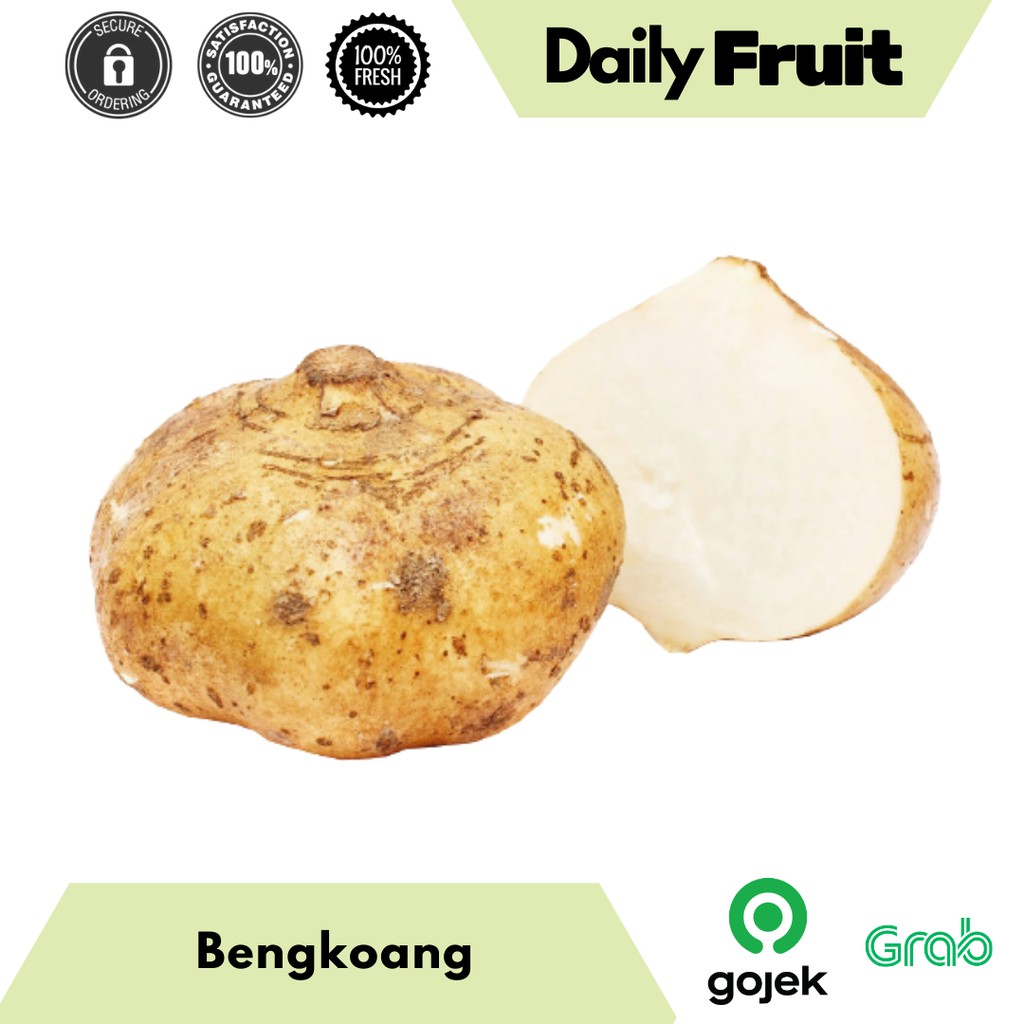 

Buah Segar Bengkoang Manis Fresh 1 Kg Berkualitas Packing Aman Rapi