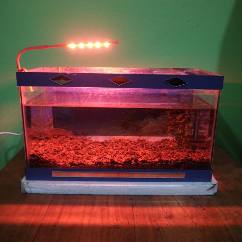 lampu aquarium led warna merah 5  titik