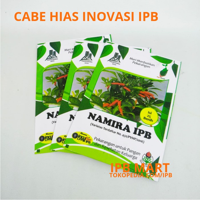 Cabe Cabai Hias Namira Ipb Benih Bibit Tanaman Btt6 Shopee Indonesia