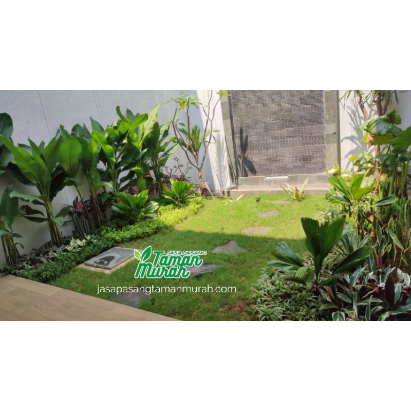 Tukang Taman Minimalis - Tukang Rumput Taman