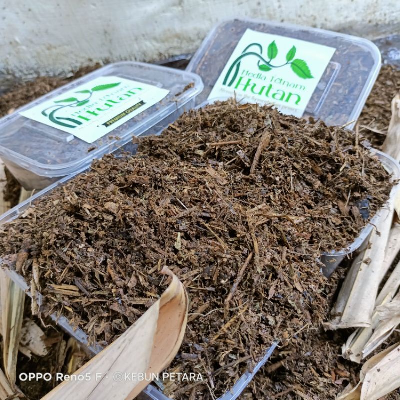 Humus Bambu / Andam Bambu Hutan / Daun Bambu Halus / Bambu cacah / Humus Bambu fermentasi / Metan Hu