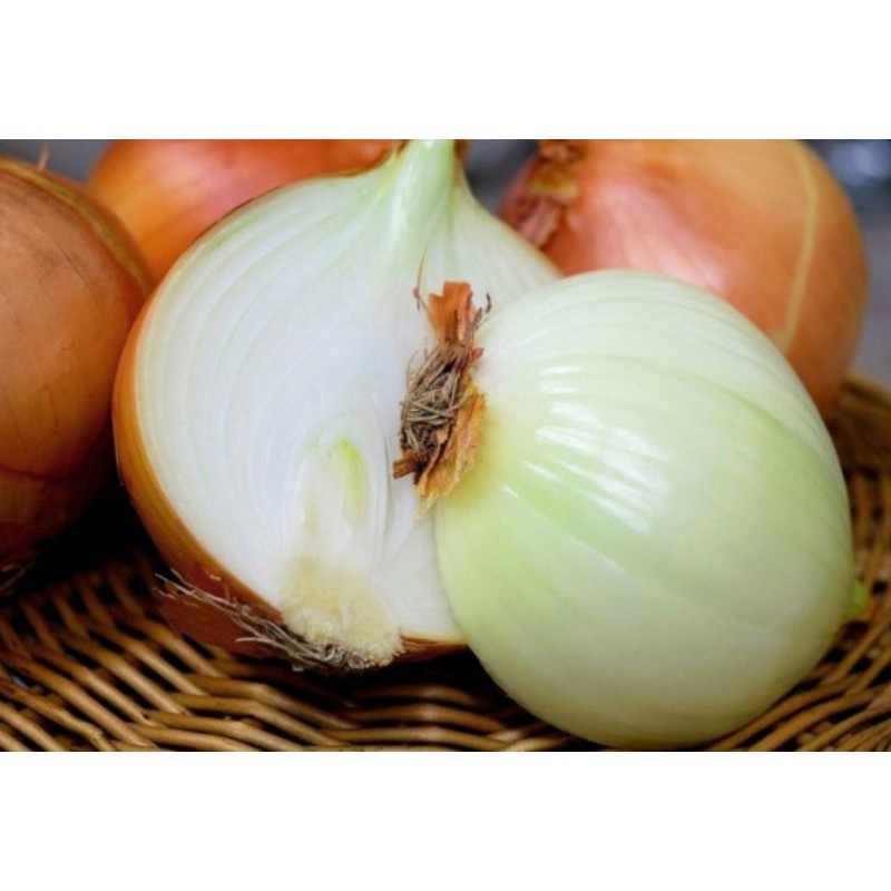 

Sayuran Bawang Bombay 250 Gram Pasar Segar Depok