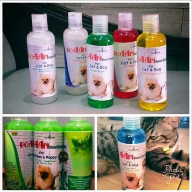 Shampoo anjing dan kucing boaam 250ml / dog and cat shampoo boaam 250ml / boaam cat and dog shampoo