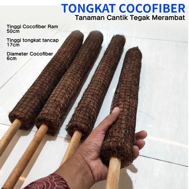 TONGKAT TURUS PENYANGGA TANAMAN MERAMBAT 70cm