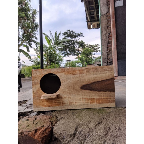 Glodok jalak Glodok falk kayu sonokeling