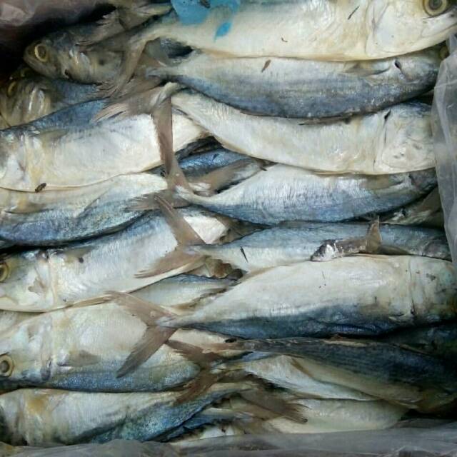 

Ikan asin peda Asli Medan