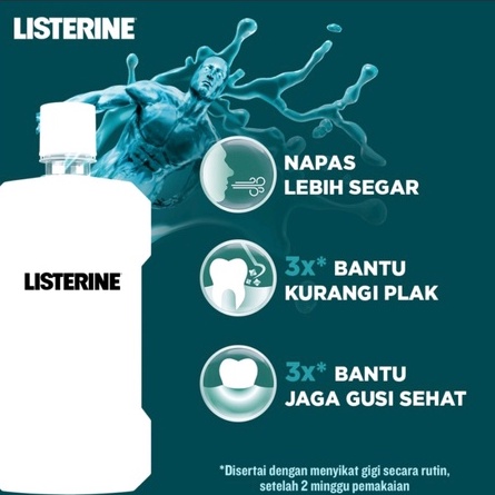 LISTERINE ZERO Mouthwash / Obat Kumur Antiseptik 250mL