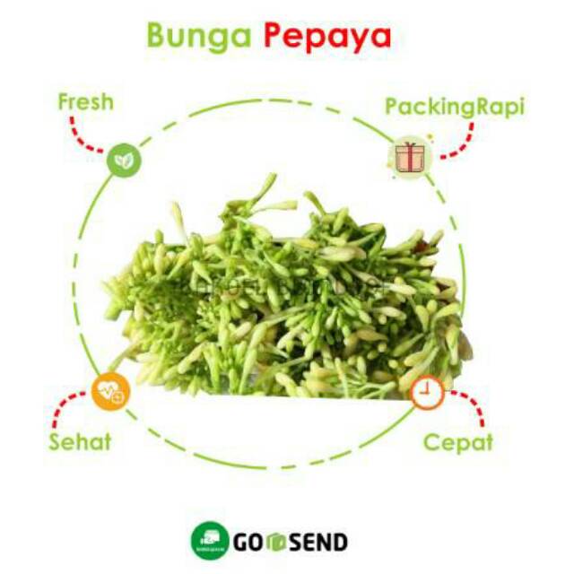 

BUNGA PEPAYA BERAT 500GRAM KEMBANG KATES SYUR SAYURAN SEGAR / FRESH VEGETABLES / VEGETABLE