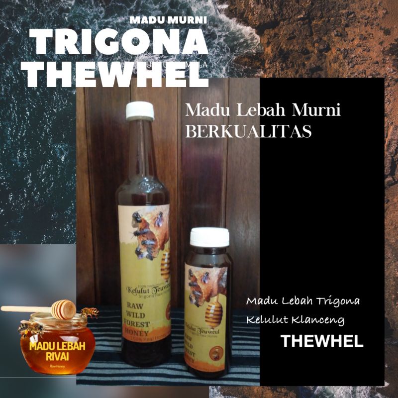 

KLANCENG KELULUT TRIGONA THEWHEL