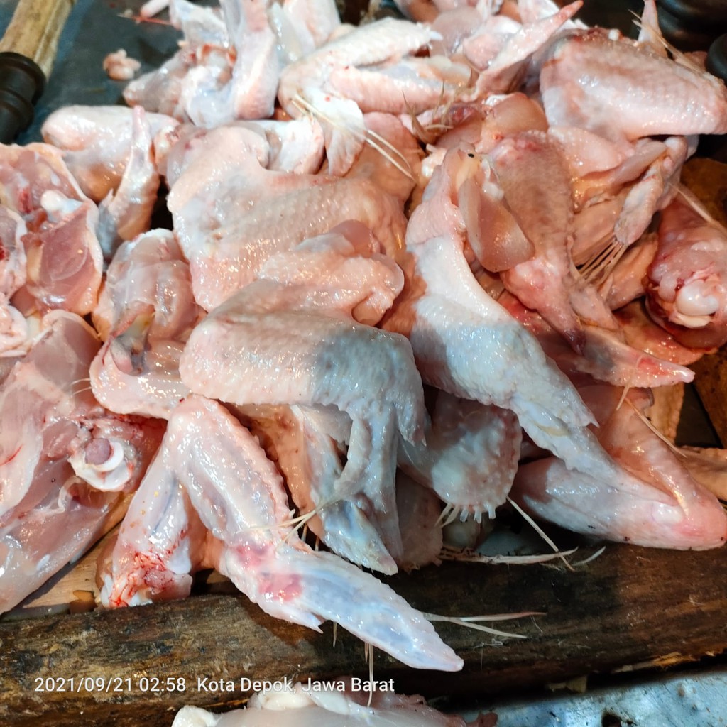 

Sayap Ayam Segar | Sayap Ayam